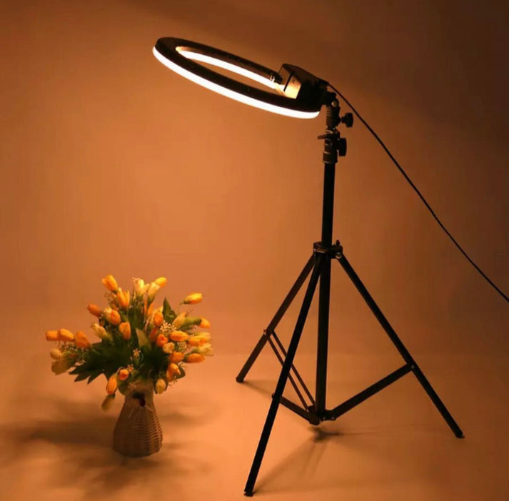 26cm Ringlight with 7ft Tripod Stand & 3 Light Modes