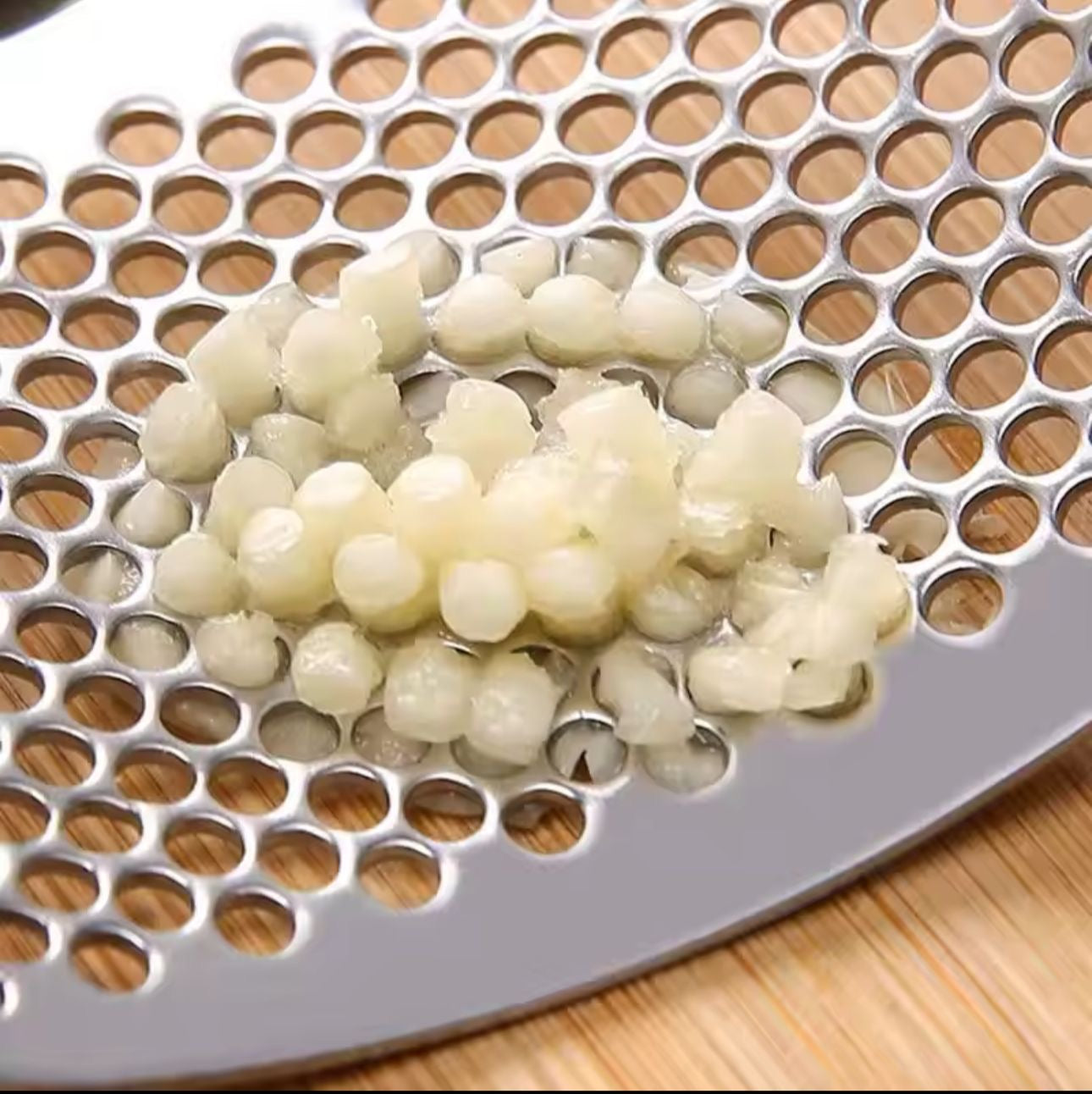 Stainless Steel Manual Garlic Press & Crusher