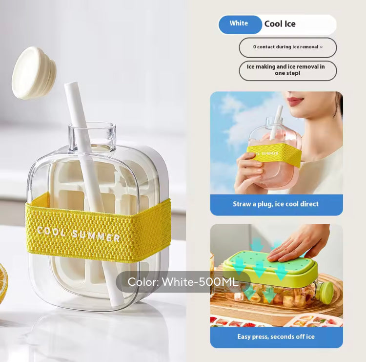 2 in 1 Press Ice Cube Tray with Water Bottle