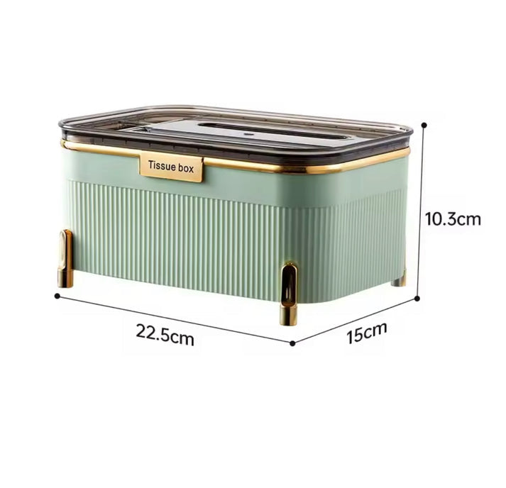 Modern Tissue Box with Storage Box Organizer