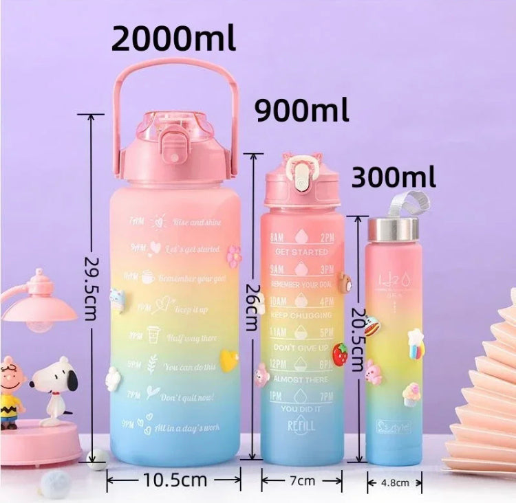 3 Pcs Gradient Colour Motivational Quotes Water Bottles Set
