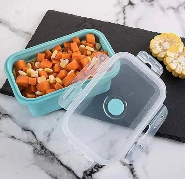 4 Pcs Silicone Food Storage boxes with Lids