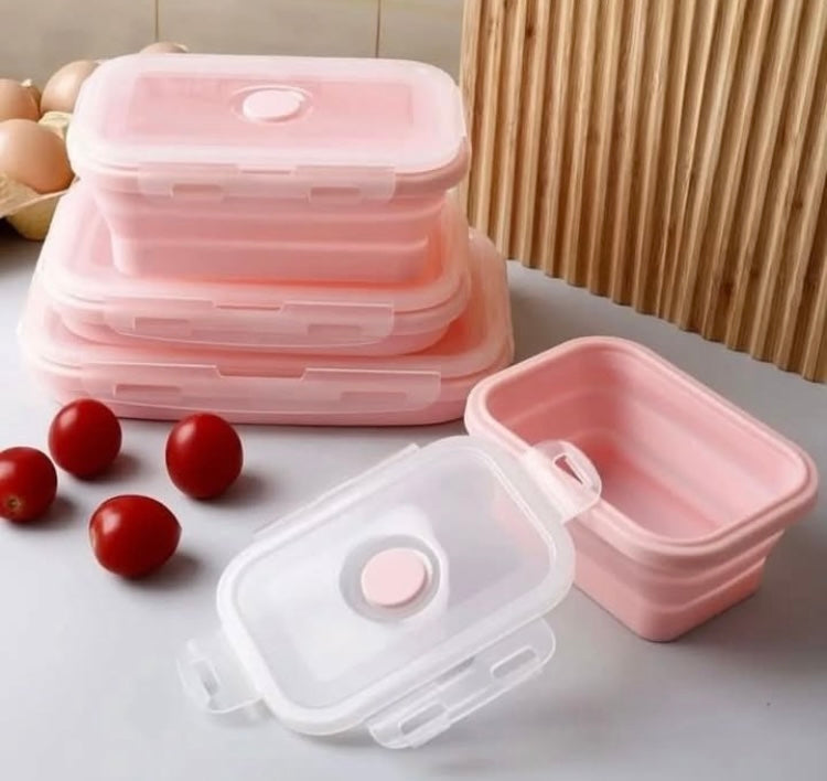 4 Pcs Silicone Food Storage boxes with Lids