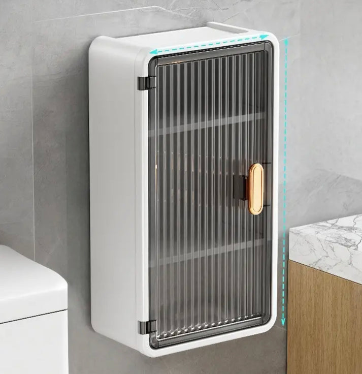 2 in 1 Wall Mounted Cabinet with Tissue Holder