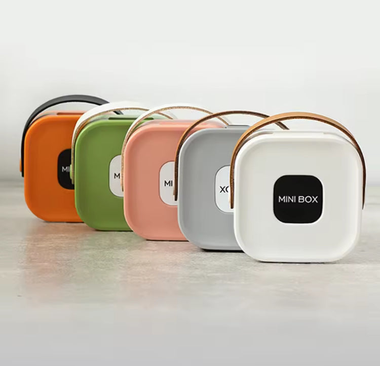 Portable Jewellery Box with Handle