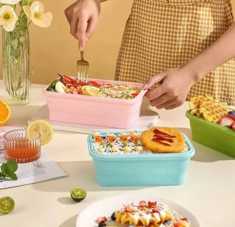 4 Pcs Silicone Food Storage boxes with Lids