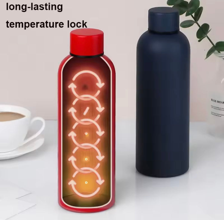 Insulated Large Capacity Stainless Steel Bottle