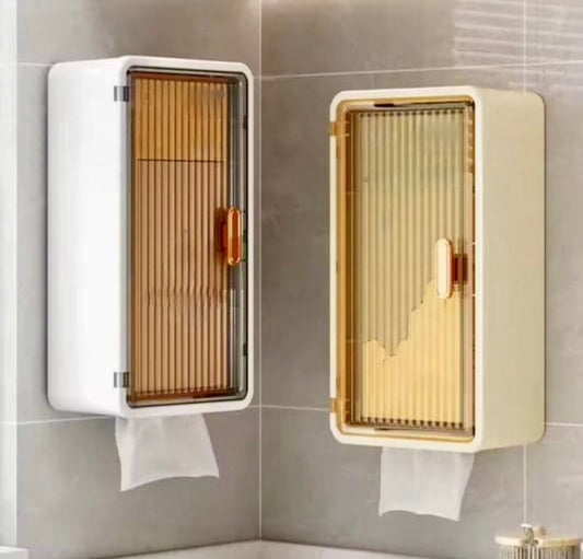 2 in 1 Wall Mounted Cabinet with Tissue Holder
