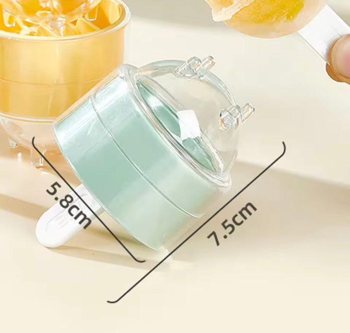 4 Pcs Set of Ice Lolly Moulds