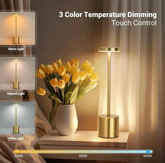 Modern Rechargeable Metal LED Touch Lamp with Three Modes of Light